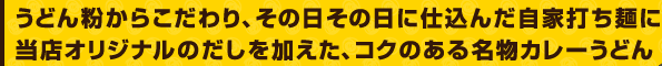 うどん粉からこだわり、その日その日に仕込んだ自家打ち麺に当店オリジナルのだしを加えた、コクのある名物カレーうどん うどん粉からこだわり、その日その日に仕込んだ自家打ち麺に当店オリジナルのだしを加えた、コクのある名物カレーうどん